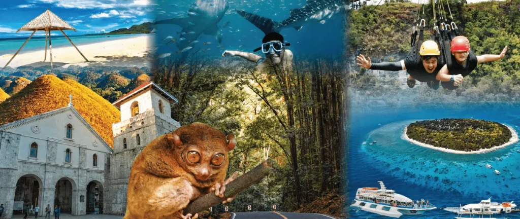 Apekop Travel and Tours - Website hero image , showing their travel and tours